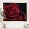 Designart - Red Rose with Raindrops on Black - Flowers Framed Canvas Wall Artwork